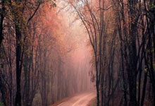 哪里能看曼城vs布莱顿的视频直播？这场比赛有哪些看点？